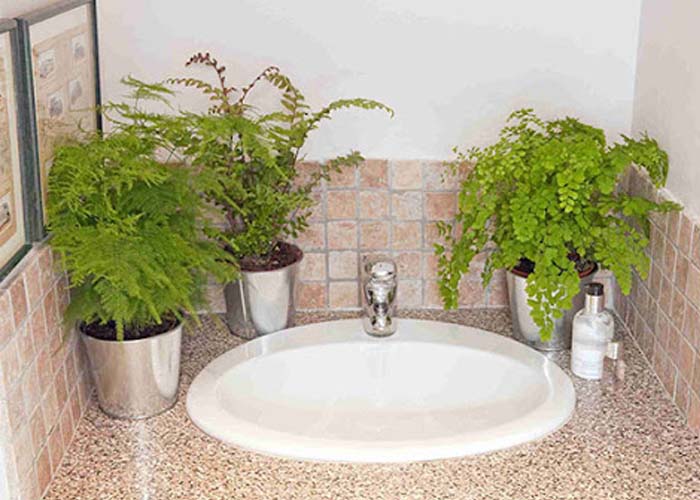 گل آرایی سرویس بهداشتی فروشگاه عرفانی